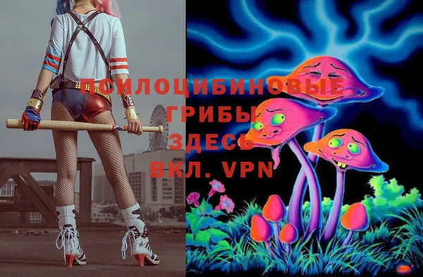 марки lsd Ельня