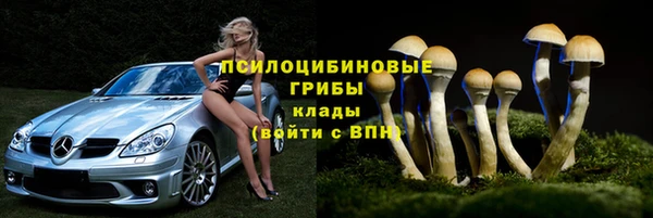 марки lsd Ельня