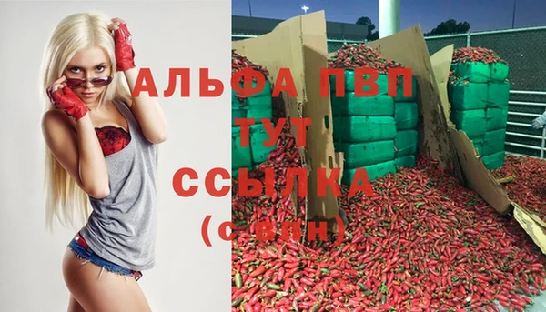 кокс Елизово