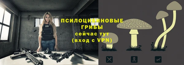 МДМА Заволжск