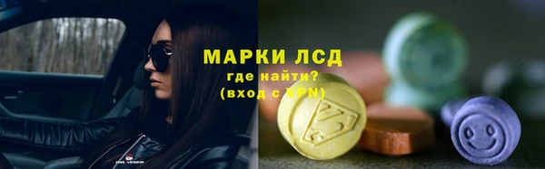 кокс Елизово