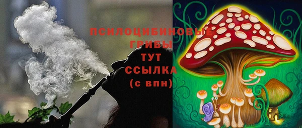 кокс Елизово