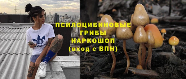 МДМА Заволжск