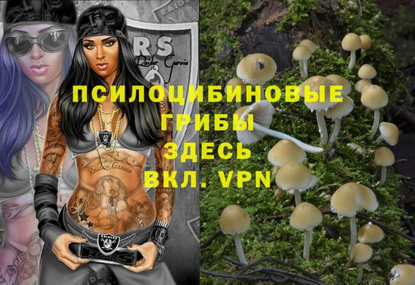 кокс Елизово