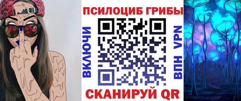 Галлюциногенные грибы MAGIC MUSHROOMS  цены   OMG tor  Чекалин 